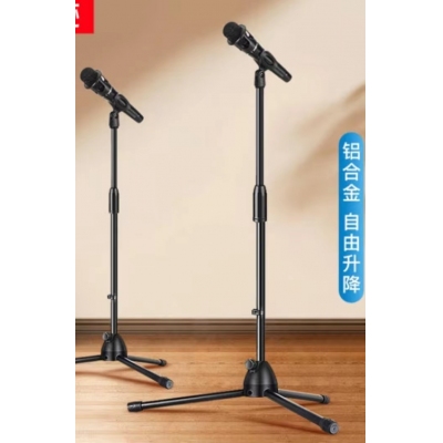 支架