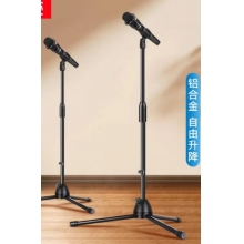 支架